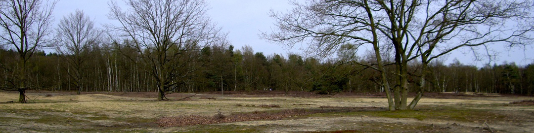 dienstencheques kessel nijlen berlaar
